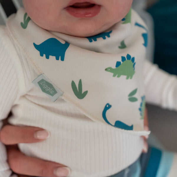 Ziggle Baby Bib Set Dinosaur. New Baby Gifts.