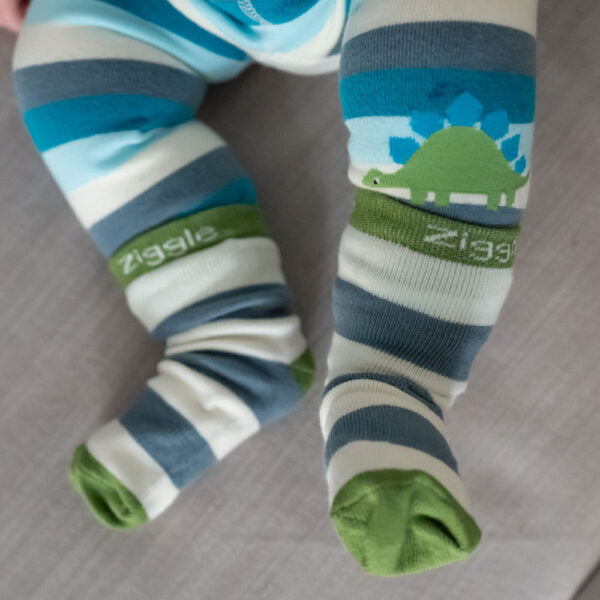 Ziggle Baby Sock Set Dinosaur. New Baby Gift.
