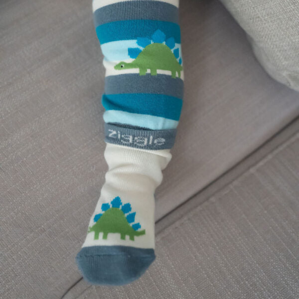 Ziggle Baby Sock Set Dinosaur. New Baby Gift.