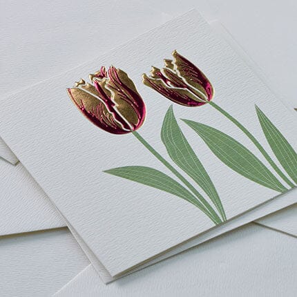 Card - Tulips Cards Other Occasions & Blank Wendy Jones Blackett