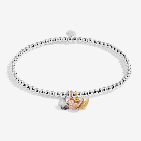 Robins Appear When Loved Ones Are Near Joma Bracelet East Kilbride