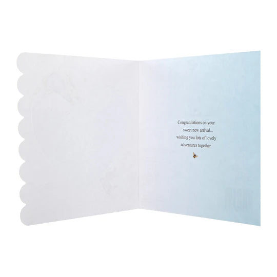 Beatrix Potter Peter Rabbit New Baby Card