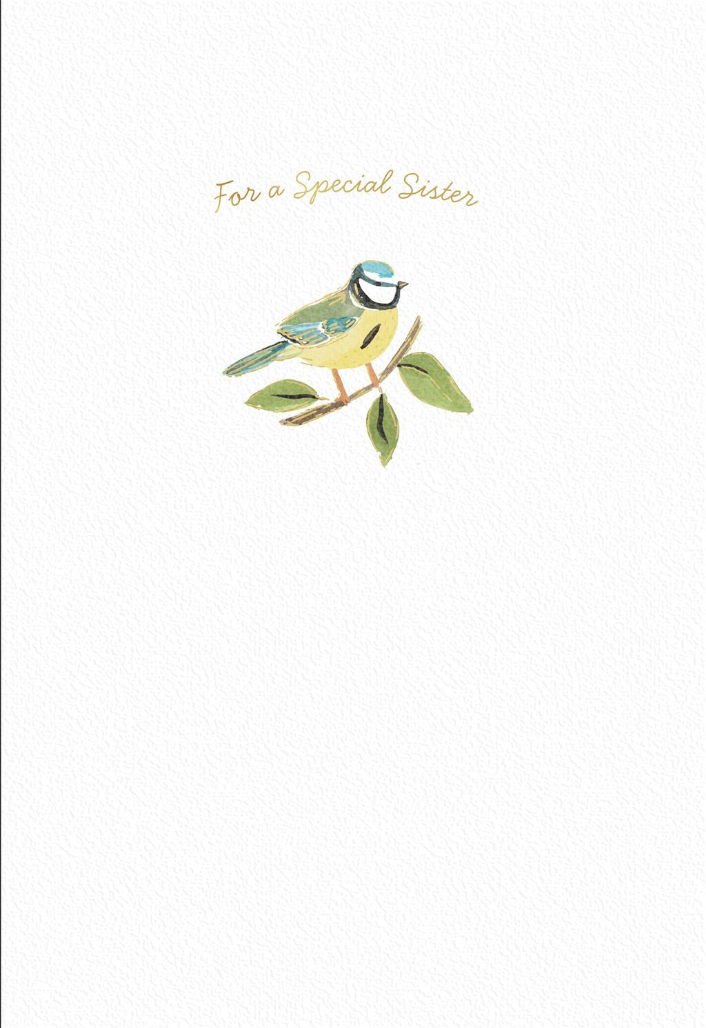 Bird Birthday Card For Sister