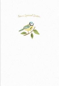 Bird Birthday Card For Sister