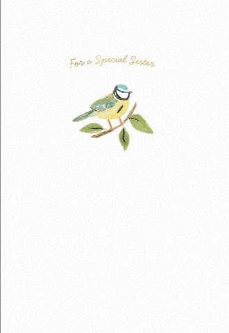 Bird Birthday Card For Sister