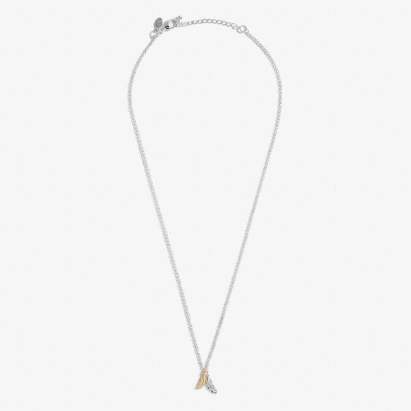 A Little 'Feathers Appear When Loved Ones Are Near' Necklace Joma A Littles Joma Jewellery 