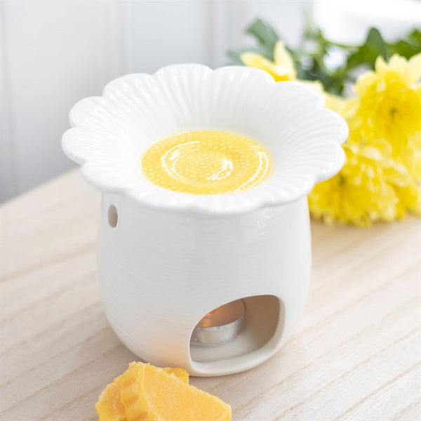 Daisy oil and wax melt burner